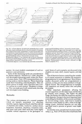 Depositional sedimentary environments
