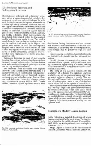 Depositional sedimentary environments