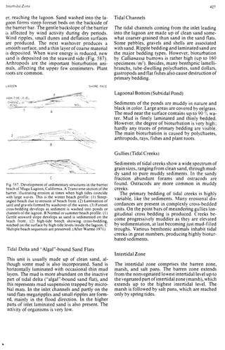 Depositional sedimentary environments