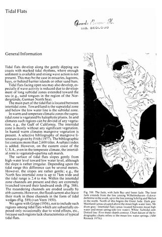 Depositional sedimentary environments