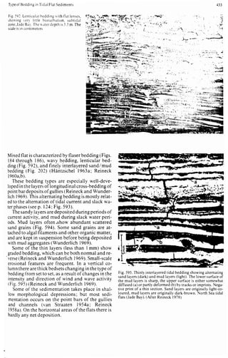 Depositional sedimentary environments