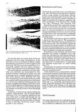 Depositional sedimentary environments