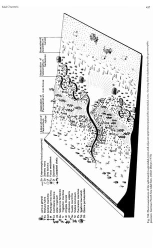 Depositional sedimentary environments