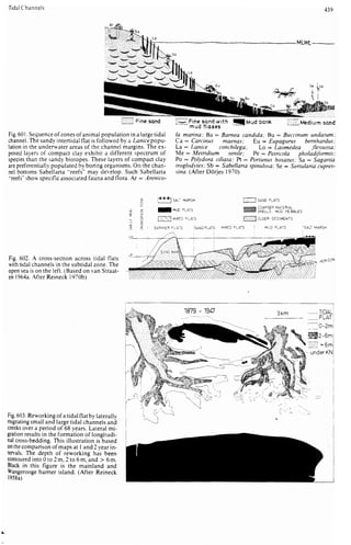 Depositional sedimentary environments