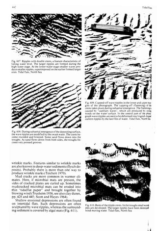 Depositional sedimentary environments