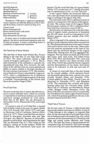 Depositional sedimentary environments