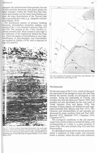 Depositional sedimentary environments