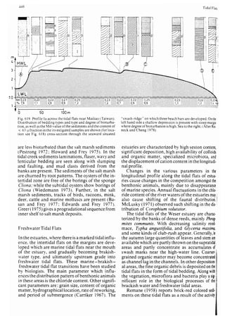Depositional sedimentary environments