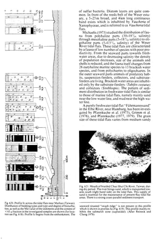 Depositional sedimentary environments