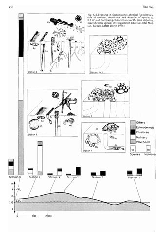 Depositional sedimentary environments