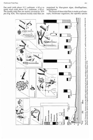 Depositional sedimentary environments