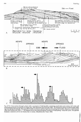 Depositional sedimentary environments