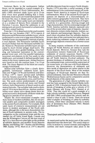 Depositional sedimentary environments