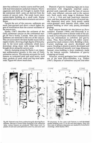 Depositional sedimentary environments