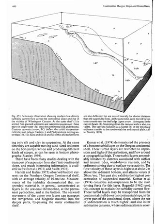 Depositional sedimentary environments