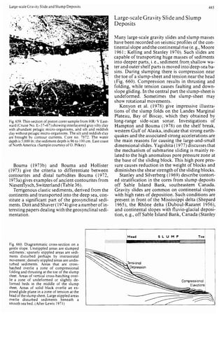 Depositional sedimentary environments