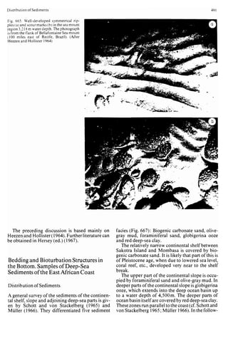Depositional sedimentary environments