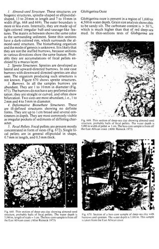 Depositional sedimentary environments