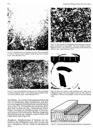 Depositional sedimentary environments