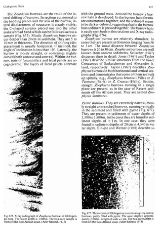 Depositional sedimentary environments