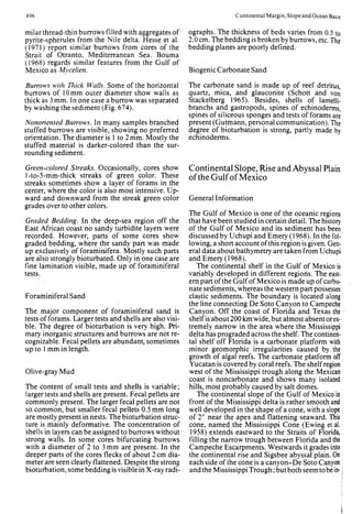 Depositional sedimentary environments