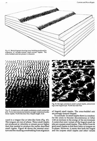 Depositional sedimentary environments