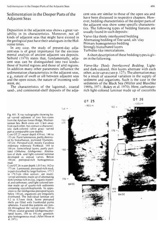 Depositional sedimentary environments