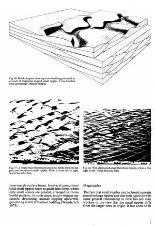 Depositional sedimentary environments