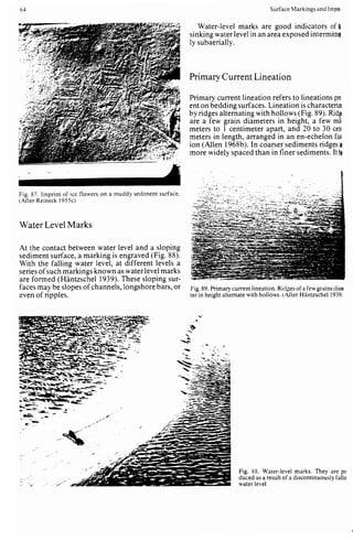Depositional sedimentary environments
