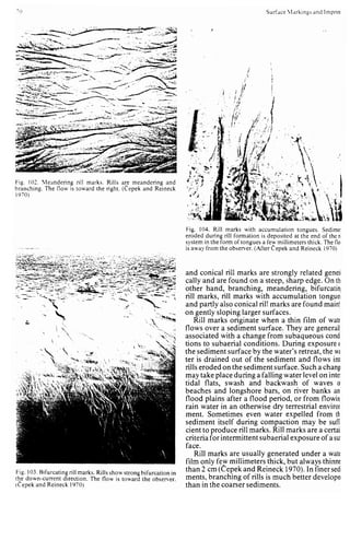 Depositional sedimentary environments