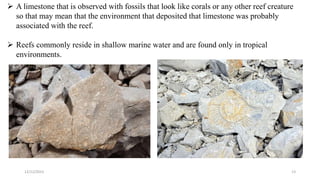  A limestone that is observed with fossils that look like corals or any other reef creature
so that may mean that the environment that deposited that limestone was probably
associated with the reef.
 Reefs commonly reside in shallow marine water and are found only in tropical
environments.
12/12/2023 13
 