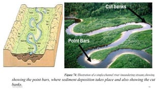 showing the point bars, where sediment deposition takes place and also showing the cut
banks.
Point Bars
12/12/2023 40
 