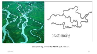 anastomosing river in Six Mile Creek, Alaska
12/12/2023 42
 