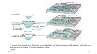 Schematic diagrams showing deposition on the floodplain and formation of natural levee (left), and a diagram
showing the development of the floodplain in a stream
(right).
12/12/2023 47
 
