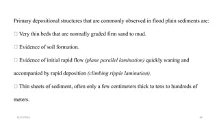 Primary depositional structures that are commonly observed in flood plain sediments are:
Very thin beds that are normally graded firm sand to mud.
Evidence of soil formation.
Evidence of initial rapid flow (plane parallel lamination) quickly waning and
accompanied by rapid deposition (climbing ripple lamination).
Thin sheets of sediment, often only a few centimeters thick to tens to hundreds of
meters.
12/12/2023 48
 
