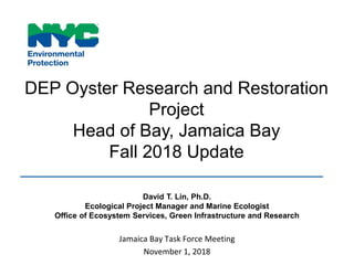 DEP Oyster Research and Restoration
Project
Head of Bay, Jamaica Bay
Fall 2018 Update
David T. Lin, Ph.D.
Ecological Project Manager and Marine Ecologist
Office of Ecosystem Services, Green Infrastructure and Research
Jamaica Bay Task Force Meeting
November 1, 2018
 