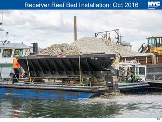 NYC Dep oyster reef update regarding head of bay oyster project