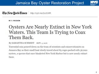 2
Jamaica Bay Oyster Restoration Project
 