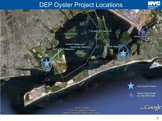 5
DEP Oyster Project Locations
Oysters
Early Oyster Projects
Oyster Project Scale-
up under DOI Grant
 