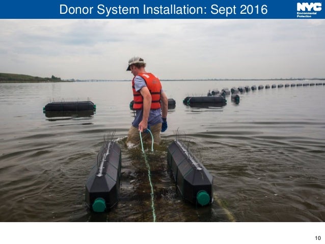 10
Donor System Installation: Sept 2016
 