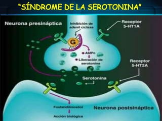 Antidepresivos tetracíclicosDerivados  de la imipraminaMaprotilinaAntagoniza principalmente la recaptación de NA ; vida media es prolongadaMianserinaanatagonista de los receptores presinápticos Alfa 2, por lo que activa la liberación de NA. Bloquea también  los Alfa 1, los 5-HT 2, los 5-HT 1c y los H 1 y tiene escasas acciones antimuscarínicas. Su vida media es intermedia duración