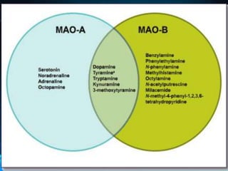 La fluoxetina se absorbe completamente por vía oral pero su biodisponibilidad se reduce por su gran metabolización de primer paso por el hígado. Se metaboliza por oxidación y conjugación posterior. La vida media de la fluoxetina y de su metabolitonorfluoxetina es prolongada,  de 40 a 70 horas.