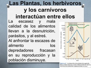 Las Plantas, los herbívoros
y los carnívoros
interactúan entre ellos
La escasez y mala
calidad de los alimentos
llevan a la desnutrición,
parásitos, y al estreś.
Al anfrontar la escazes de
alimento los
depredadores fracasan
en su reproducción y la
población disminuye.
 