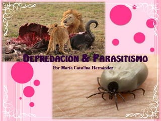 DEPREDACIÓN & PARASITISMO
     Por María Catalina Hernández
 