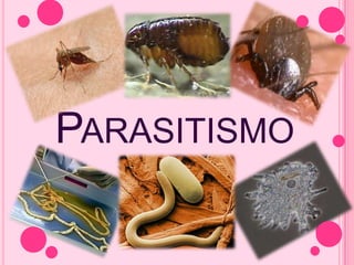 PARASITISMO
 