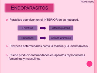 PARASITISMO

     ENDOPARÁSITOS

   Parásitos que viven en el INTERIOR de su huésped.

             Endofitos            Atacan plantas


             Endozoos             Atacan animales


   Provocan enfermedades como la malaria y la leishmaniosis.


    Puede producir enfermedades en aparatos reproductores
    femeninos y masculinos.
 