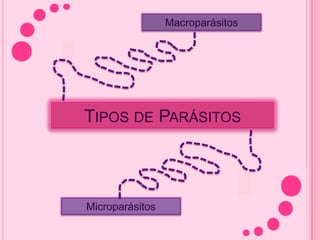 Macroparásitos




TIPOS DE PARÁSITOS



Microparásitos
 