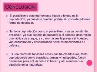 CONCLUSIÓN
    El parasitismo esta fuertemente ligado a lo que es la
    depredación, ya que éste también podría ser considerado una
    forma de depredar.

    Tanto la depredación como el parasitismo van en constante
    evolución, ya que cuando depredador o el parasito desarrollan
    una táctica de ataque, a su misma vez la presa y el huésped
    van encontrando y desarrollando distintos mecanismos de
    defensa.

   Es una maravilla todas las cosas que ha creado Dios, tanto
    depredadores como parásitos, presas y huéspedes, fueron
    diseñados para actuar como lo hacen y así mantener un
    equilibrio en la naturaleza.
 