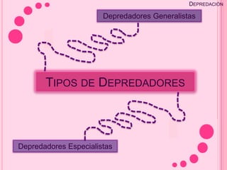 DEPREDACIÓN

                       Depredadores Generalistas




       TIPOS DE DEPREDADORES



Depredadores Especialistas
 