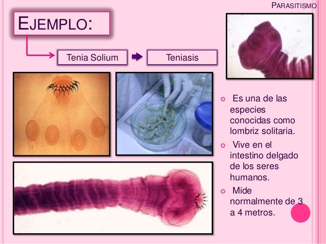 Imagen relacionada